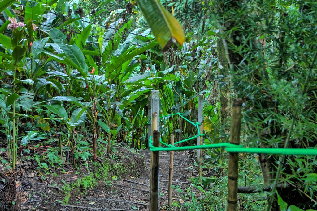 Hotel Mountain Paradise La Fortuna Extérieur photo