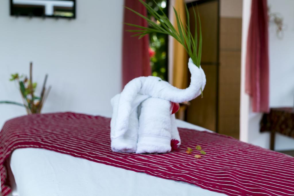 Hotel Mountain Paradise La Fortuna Extérieur photo