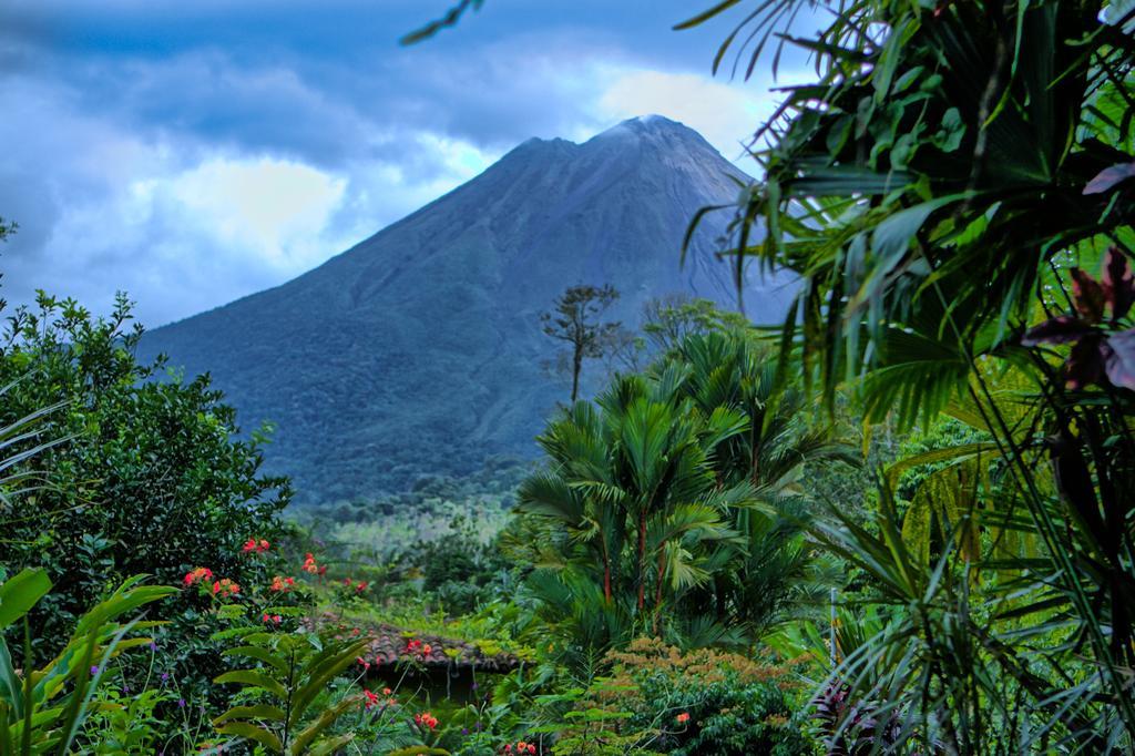 Hotel Mountain Paradise La Fortuna Extérieur photo